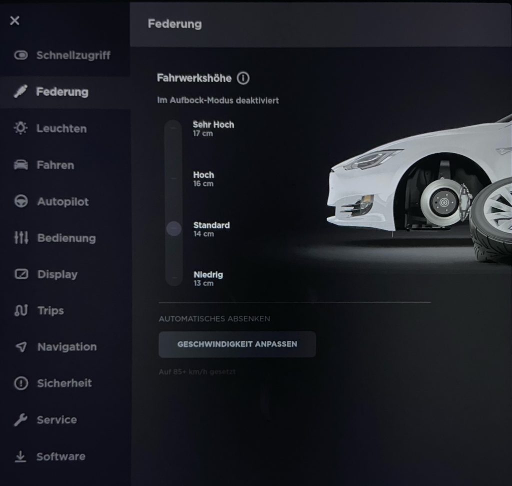 Service mode tesla